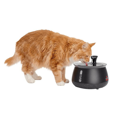 Humva Cat Water Fountain