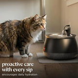 Humva Cat Water Fountain