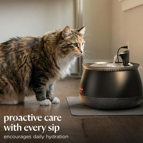 Humva Cat Water Fountain