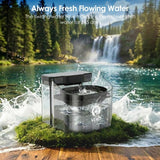 11L Large Dog Water Fountain