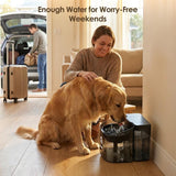 11L Large Dog Water Fountain