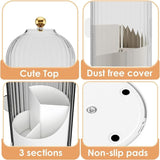 Covered Rotating Makeup Brush Organizer