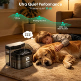 11L Dog Water Fountain