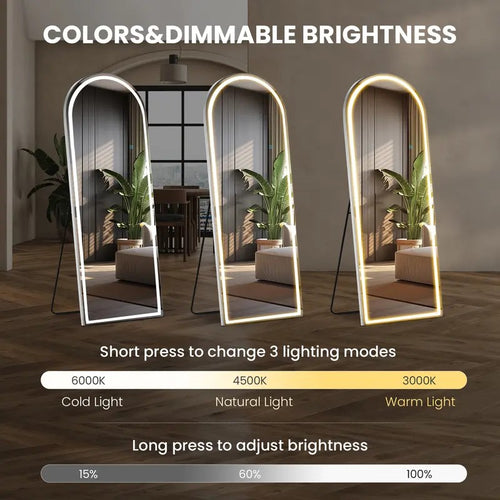 LED Full-Length Mirror with Adjustable Light