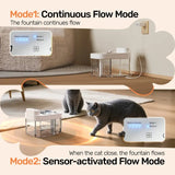 HAPAW Filter-Free Smart Cat Water Fountain